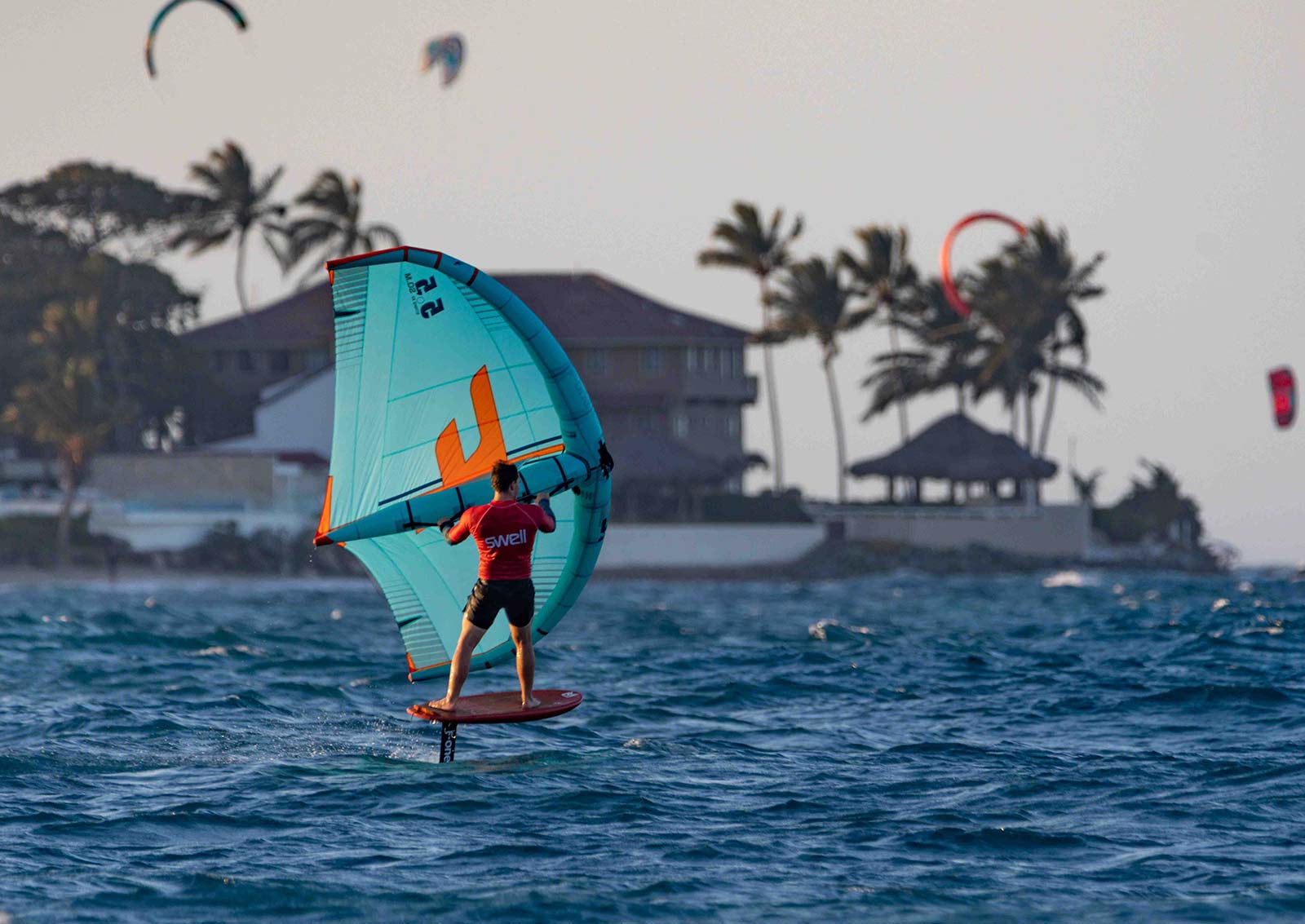 Swell photo 1