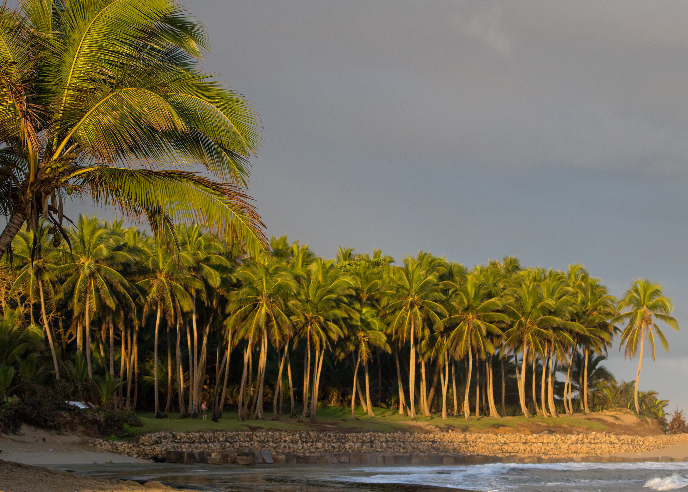 Adult gap year by the ocean: learn to surf in 4–8 weeks – Swell Surf Camp, Cabarete