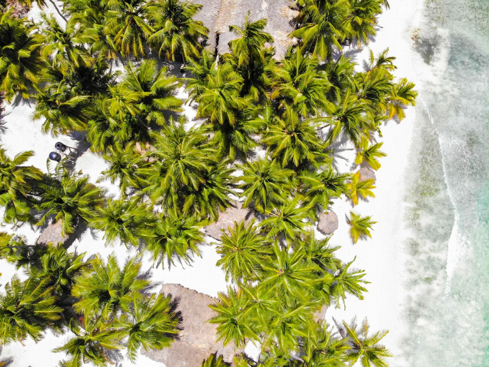 Aerial view of the cove at Swell, Cabarete