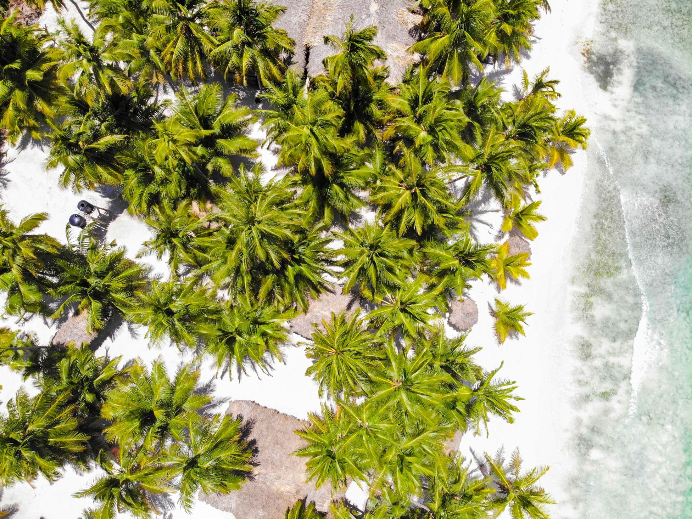 Aerial view of the cove at Swell, Cabarete