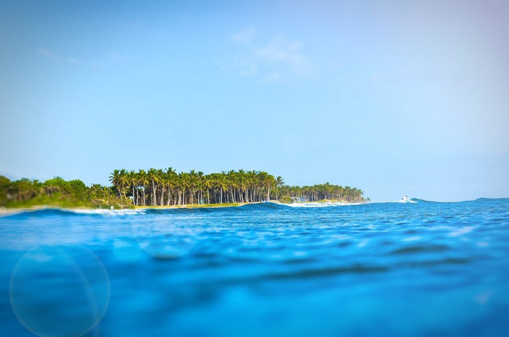 Surf camp Job in The Caribbean with Swell Surf camp Swell Surf Camp
