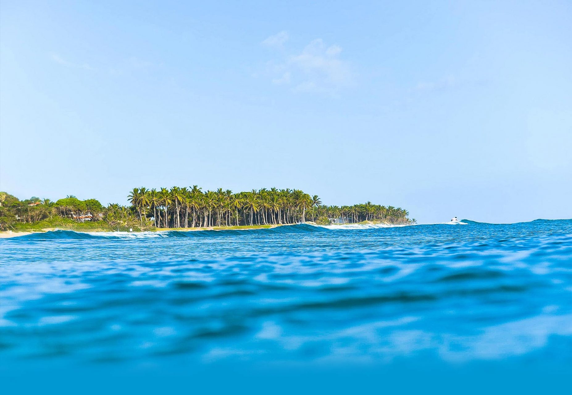 SURF IN THE CARIBBEAN Swell Surf Camp