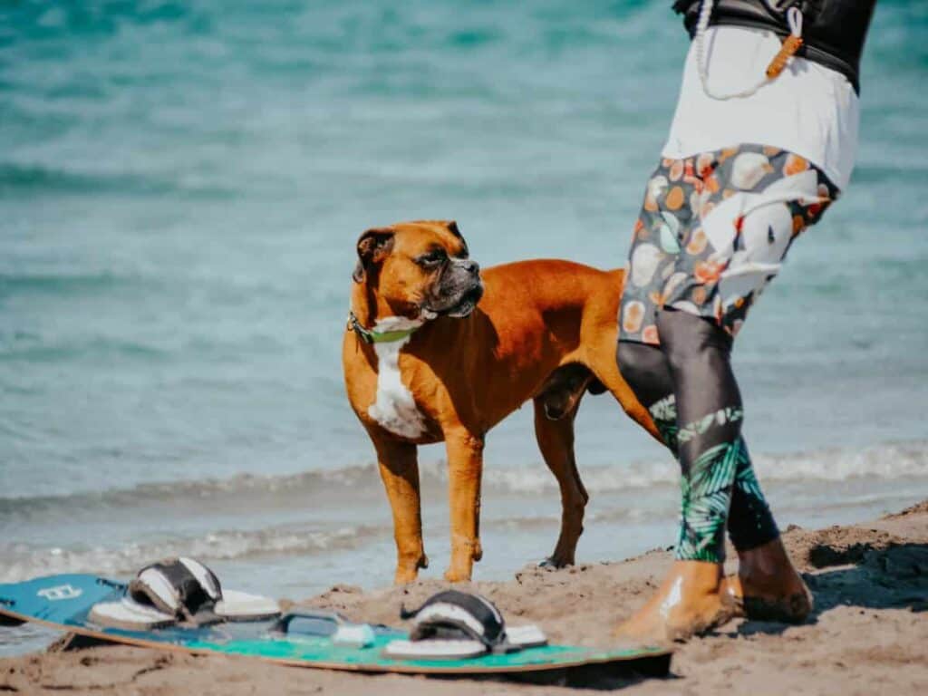 kitesurfing destination spoTlight