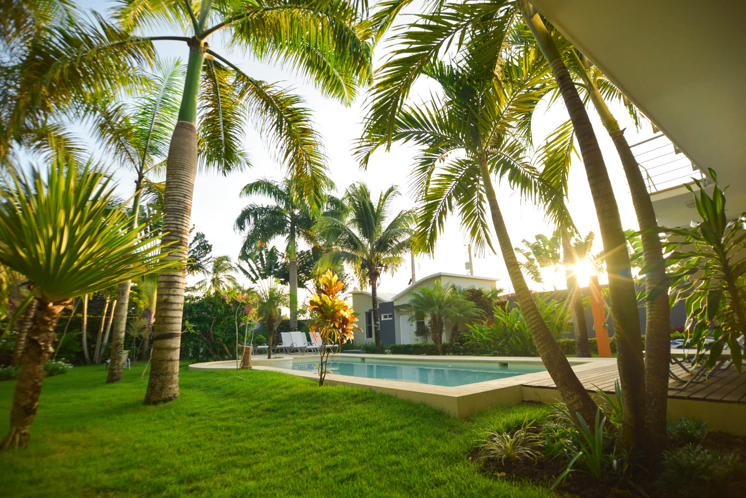 Our tropical garden