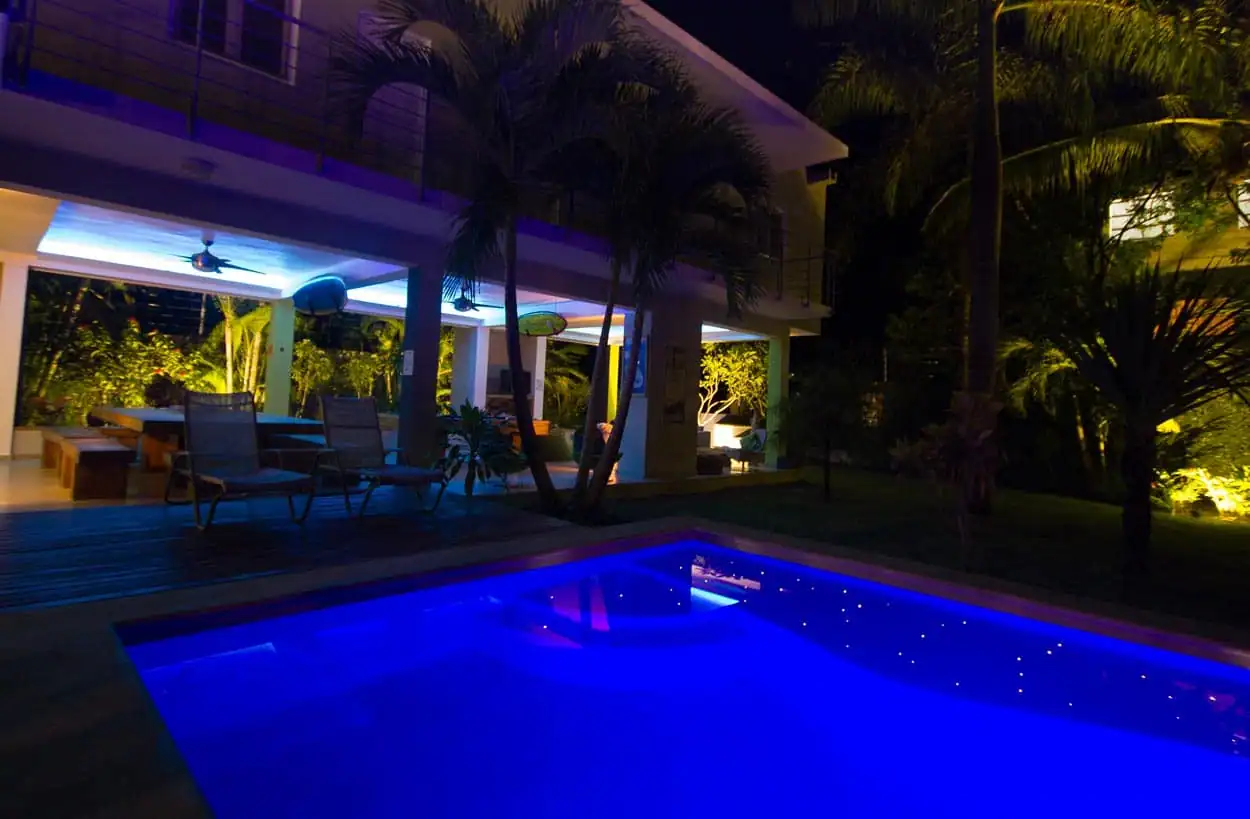 Our tropical garden
