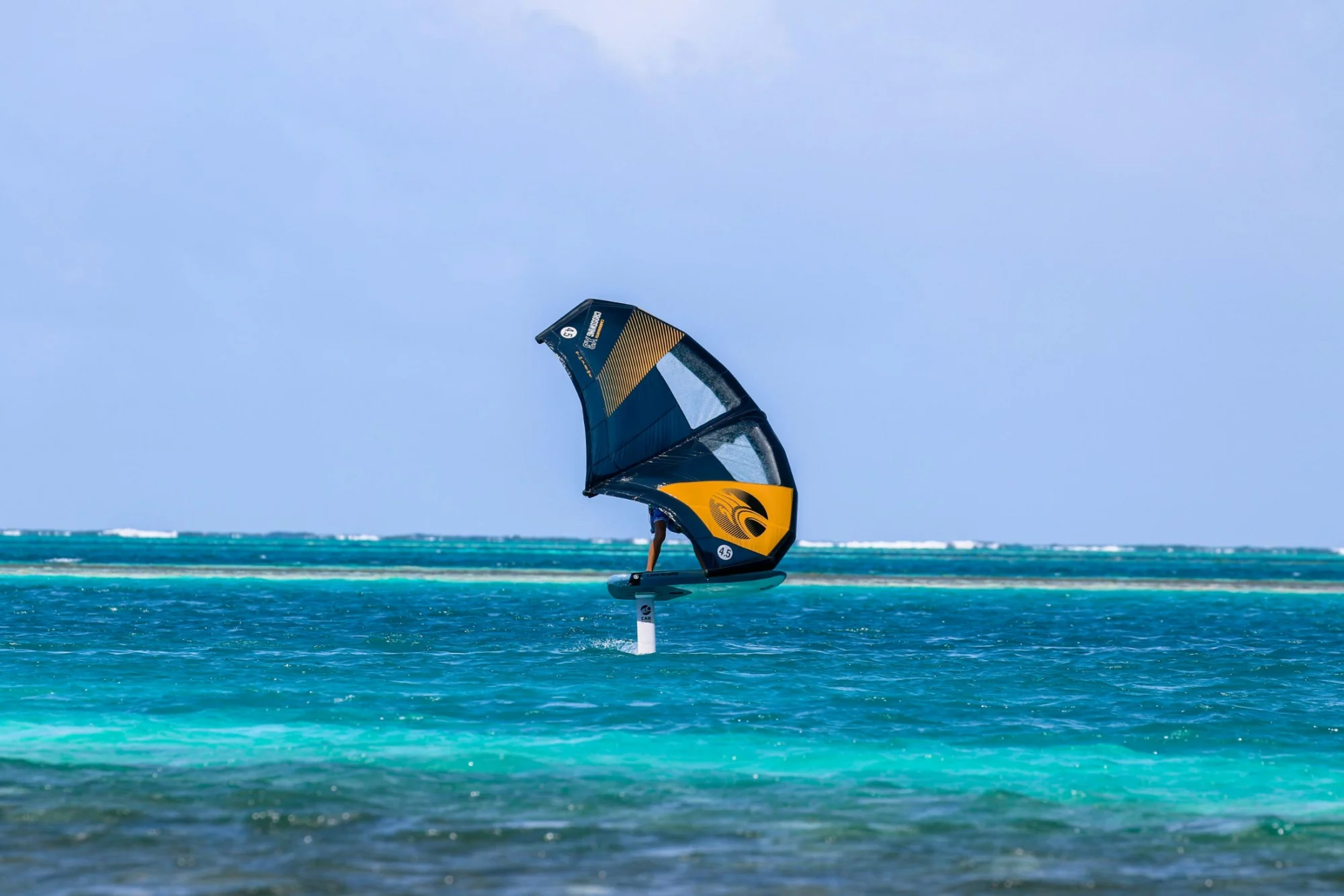 The reef
