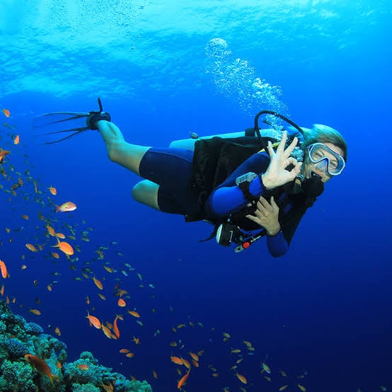 Go diving