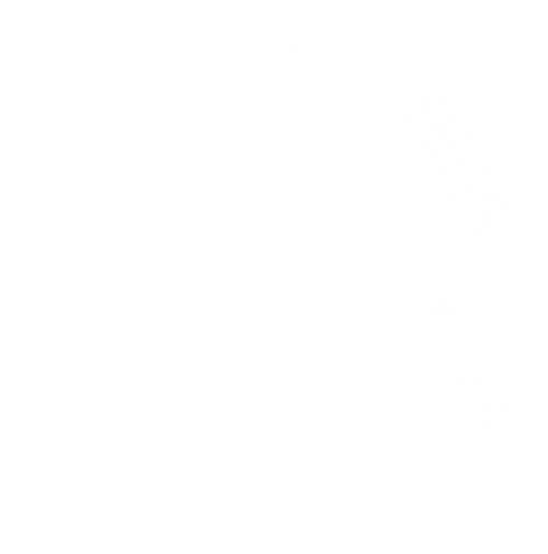 Swell Surf Camp