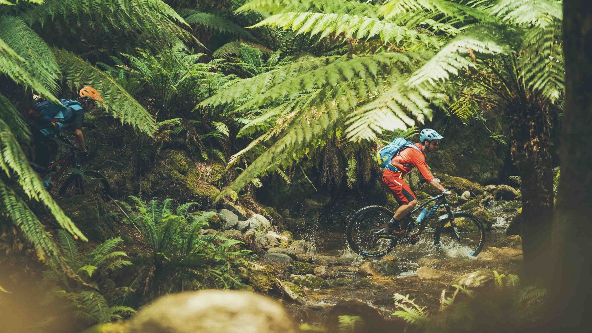 Mountain biking