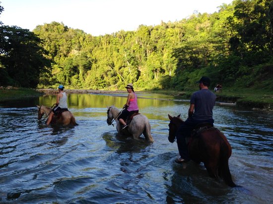 Horse riding