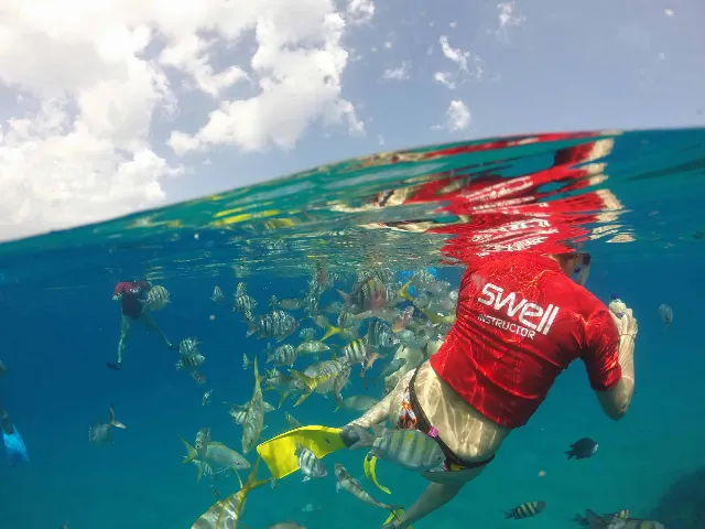 snorkeling trip