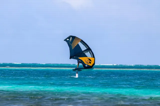 The reef